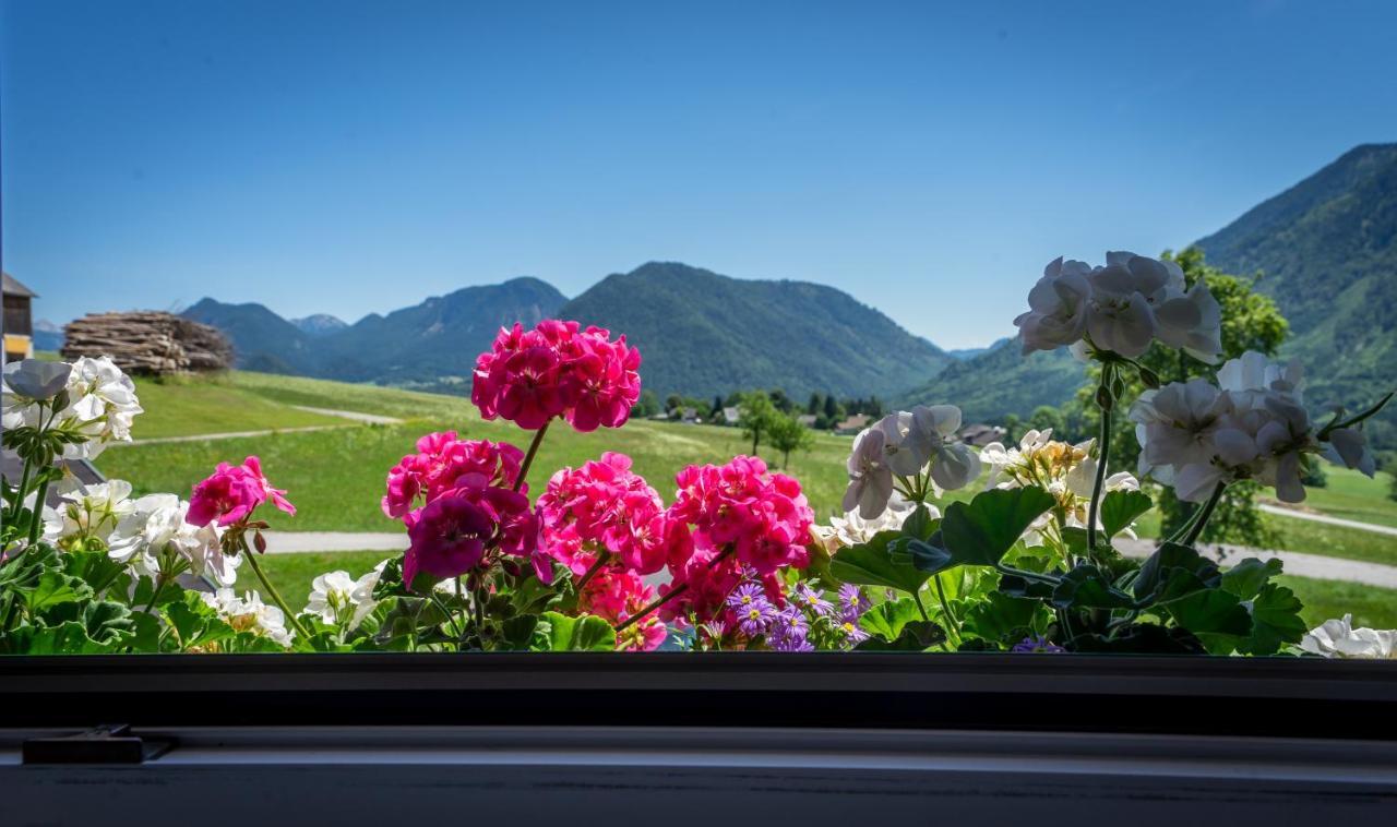 Lovely House With Mountain View & Big Garden In Bad Aussee Exterior foto